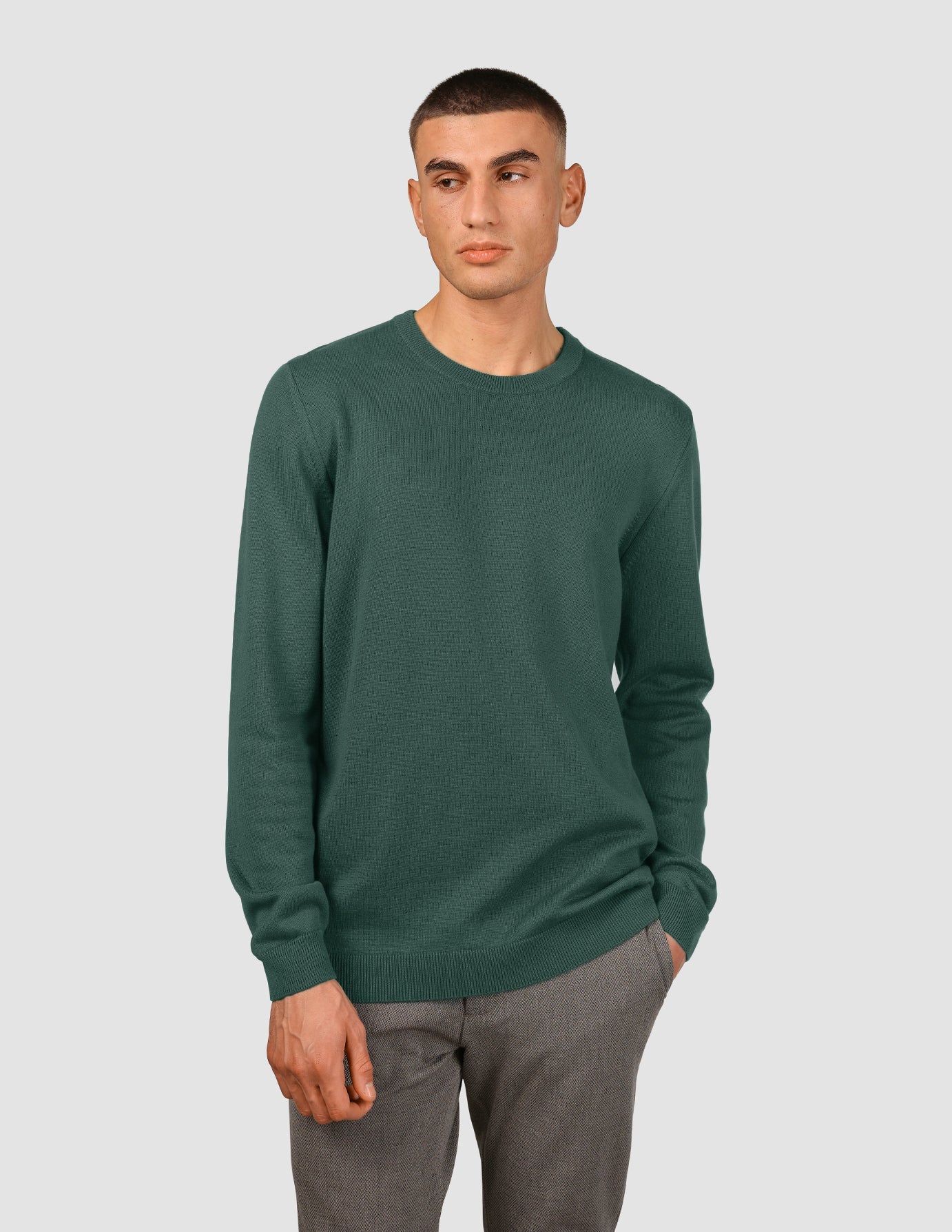 Everyday Knit Crewneck Shadow Green